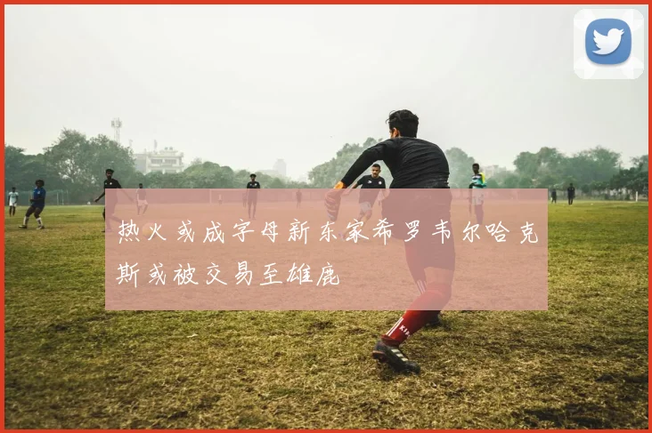 热火或成字母新东家希罗韦尔哈克斯或被交易至雄鹿